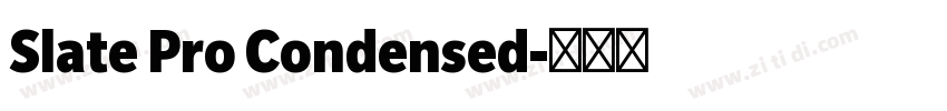 Slate Pro Condensed字体转换